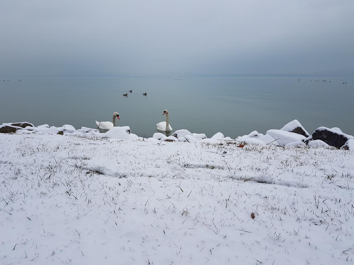 Saba-Haz Hotel Balatonboglár Екстериор снимка